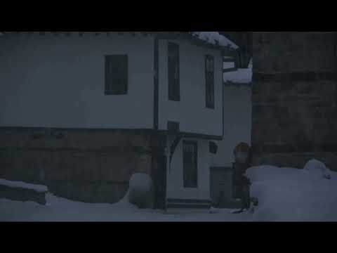 تحليل اسم شادية 