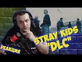 Реакция на Stray Kids — DLC