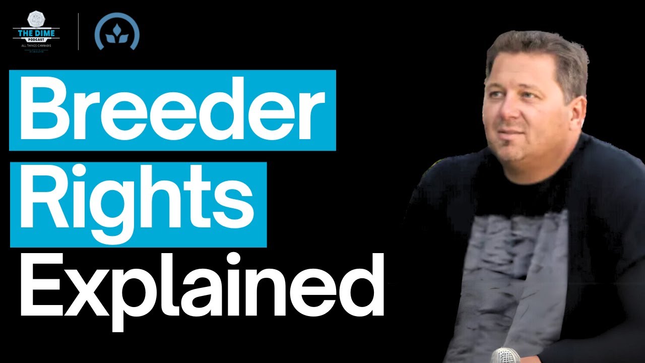 What is Tissue Culture, Genetic Resets and Breeder Rights Explained ft. Kristian Andreassen