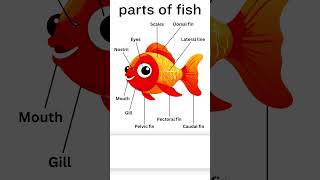parts of fish parts of fish