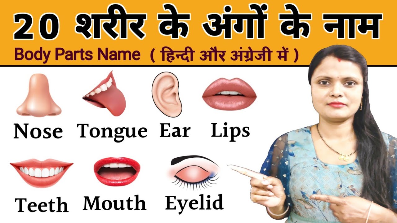 Body parts name in marathi and english | Body parts name with pictures |  sharirache avayav English - YouTube