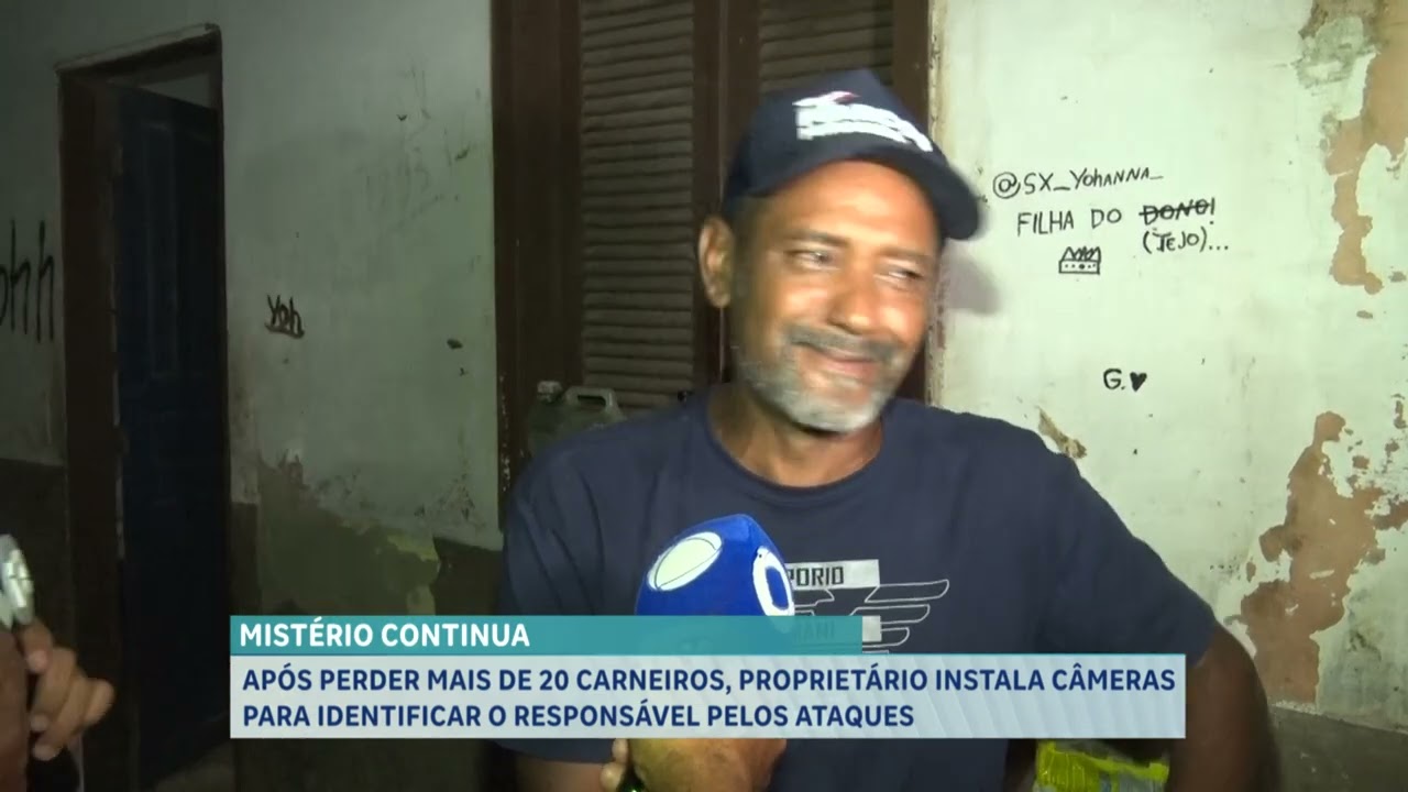 APÓS PERDER MAIS DE 20 CARNEIROS, PROPRIETÁRIO INSTALA CÂMERAS PARA IDENTIFICAR O RESPONSÁVEL PELOS
