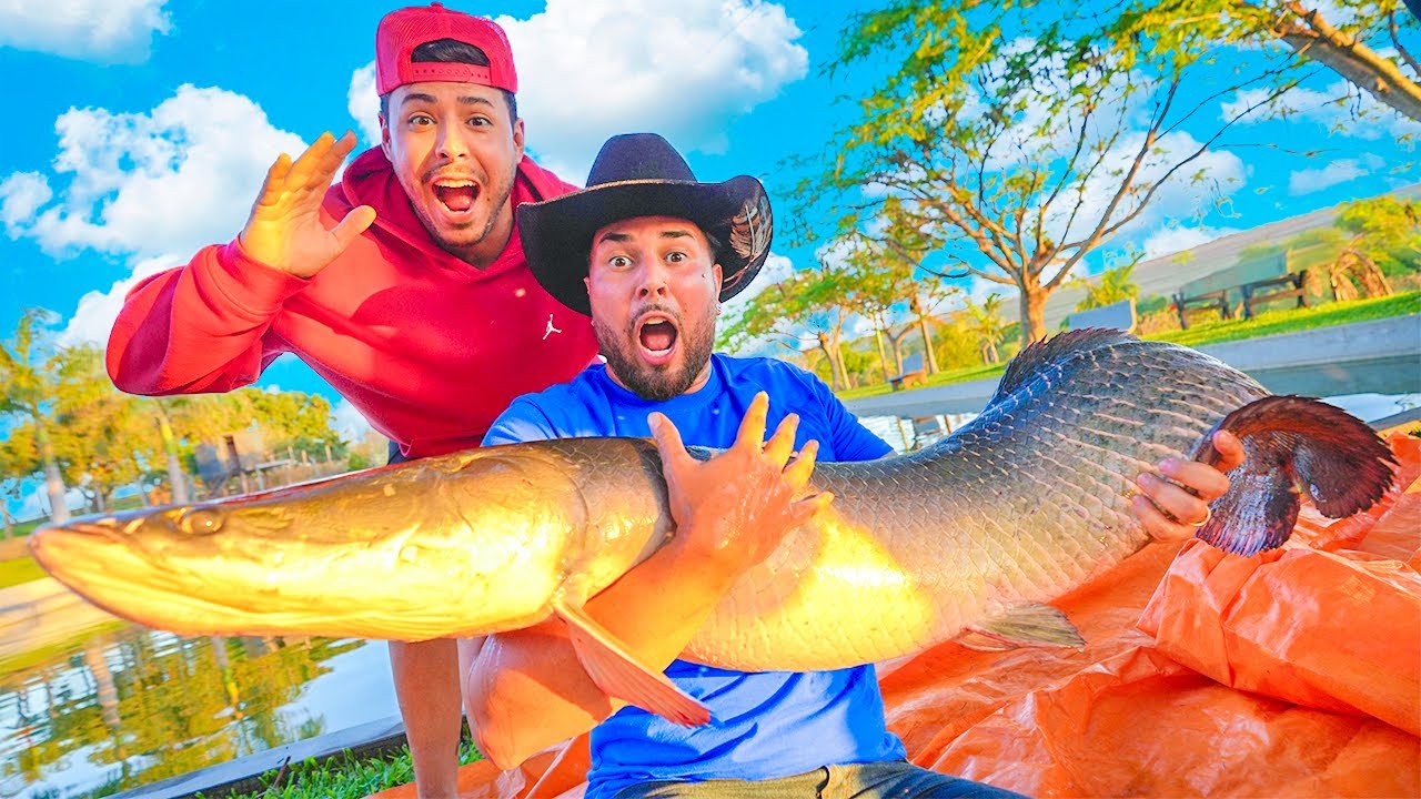 RENATO ESSE É SEU PIRARUCU NOVOOO !! * espero que você gostei * 🙏🏼❤️