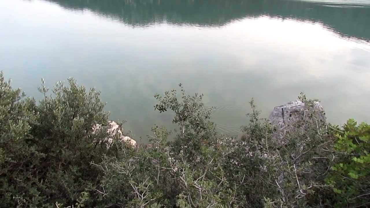 The sharks @Kekova Bay, Turkey- Kekova Körfez'indeki köpek baliklari
