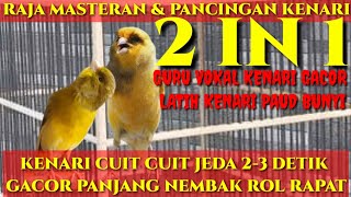 GURU VOKAL KENARI GACOR PANJANG NEMBAK JEDA 2-3 DETIK 2 IN 1 | CANARY SINGING