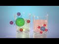 Understanding Mixtures and Solutions
