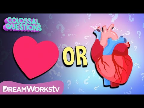 Where Did The “Heart Shape” Come From? | COLOSSAL QUESTIONS