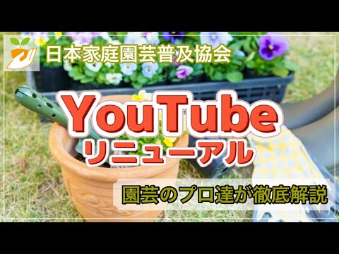 【園芸資格】グリーンアドバイザーって知ってる?趣味や仕事の幅を広げよう! hqdefault