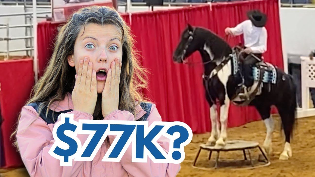 MASSIVE HORSE AUCTION! Did we bid? YouTube