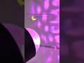 Deuxlumières,une lamps Lequelpréférez -void? #energysaving#electricbill#france #bulb#paris