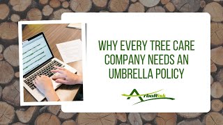 Why Every Tree Care Company Needs an Umbrella Policy