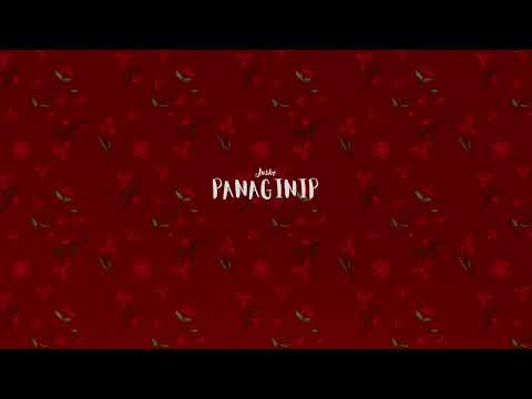 PANAGINIP - Jnske