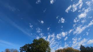 Cumulus floccus and Cirrus Clouds