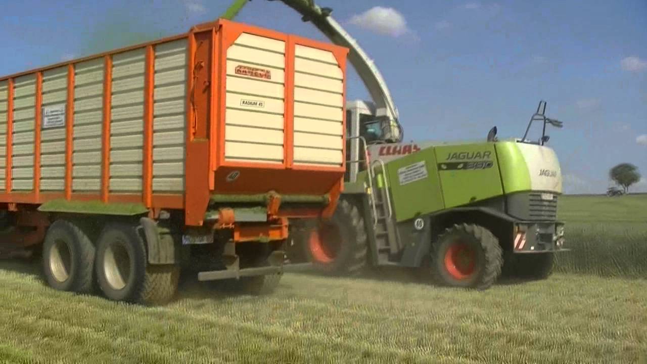 gps silage 2011
