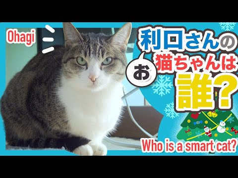 お利口さんの猫ちゃんは誰？