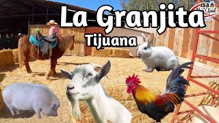 LA GRANJITA De Don Chava [ RANCHO CASIAN ] TIJUANA / Isa Alejo Oficial by Isa Alejo Oficial 1,384 views 3 months ago 17 minutes