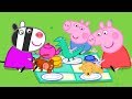 Peppa Pig Français | Peppa Pig Le jour de sortie de Teddy | 1 HEURE | Dessin Animé