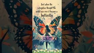 Caterpillar into a Butterfly #music #singersongwriter #healing #butterfly #caterpillar