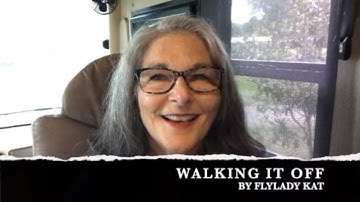 WALKING IT OFF - DECLUTTER - FLYLADY ROUTINES AND ZONES - A CLEAN CLUTTER FREE HOME WITH FLYLADY KAT