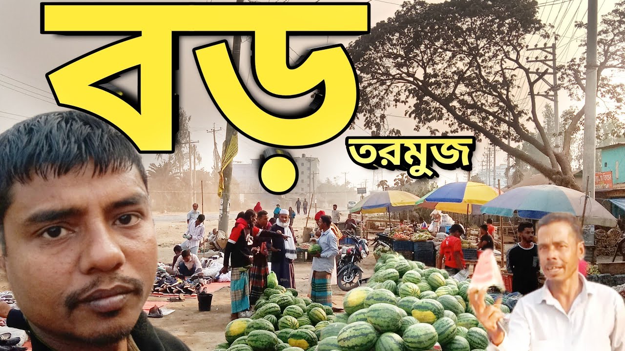 ছোট বড় তরমুজ বাজারে এসেছে   Fresh Watermelon Now Available