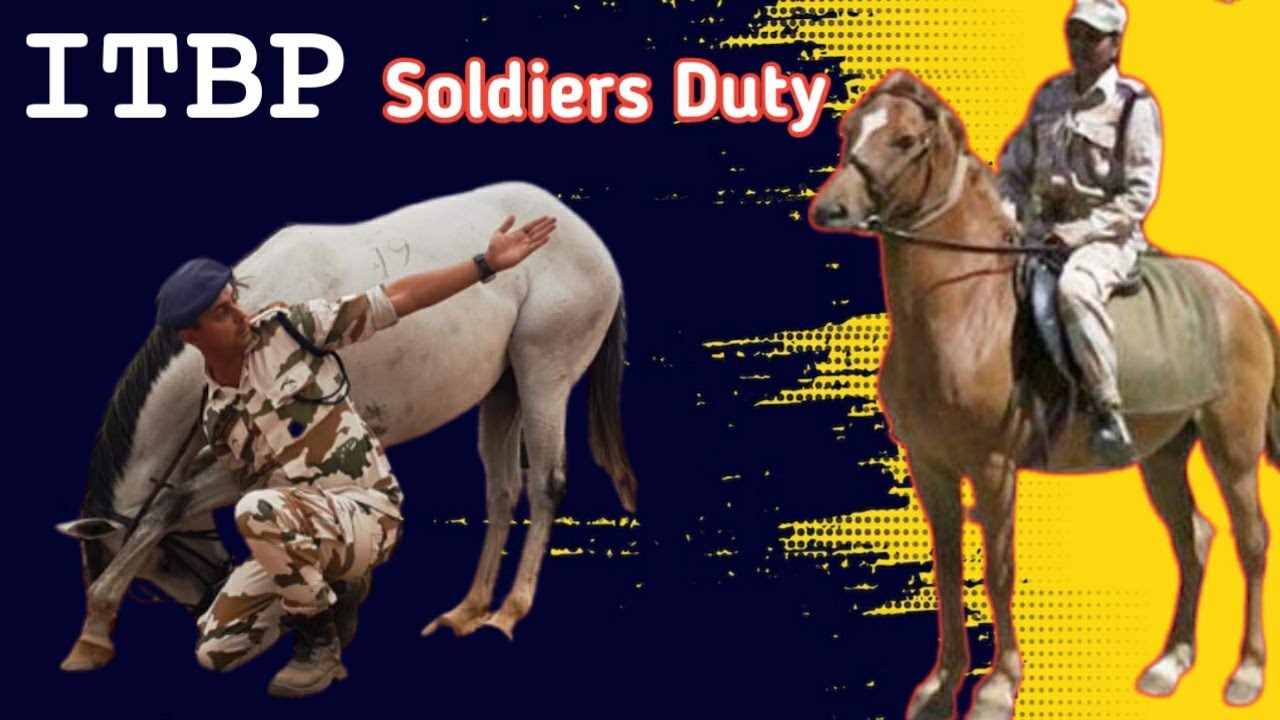 ITBP SOLDIER DUTY HORSE ANIMAL DUTY BORDER DUTIES SNOW AREA itbp-soldier-duty-horse-animal-duty-border-duties-snow-area