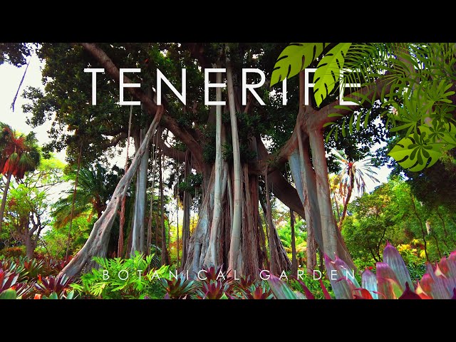 4K HDR Video – Beautiful Botanical Garden in Tenerife, Canary Islands 🌴 class=