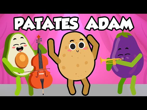 Patates Adam Orkestra - DANS ŞARKISI