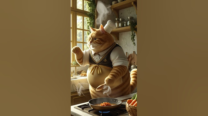 👉 Welches Gericht würdet ihr von Chef Miez bestellen?Kommentiert mit einem 🍲 oder 🐟
