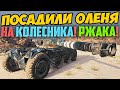 ПОСАДИЛИ ОЛЕНЯ НА КОЛЕСНИКА! ТО ЧТО ОН СТАЛ ДЕЛАТЬ - ЭТО ЛЮТАЯ РЖАКА!