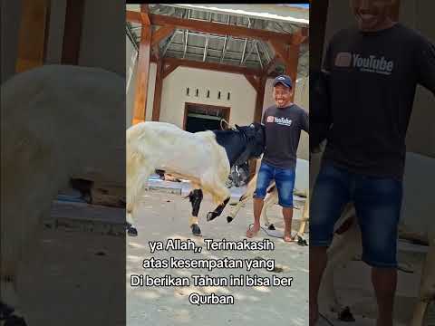 yang ku impikan jadi kenyataan