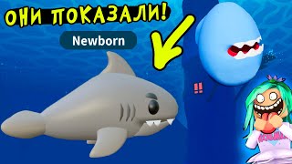 ОНИ ПОКАЗАЛИ ИХ!!!! Новые морские яйца и морские пэты в адопт ми роблокс.