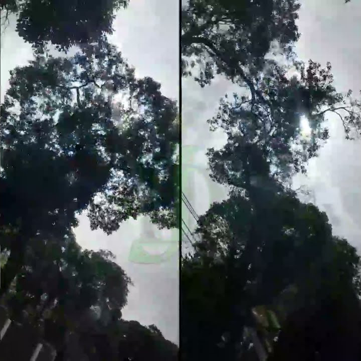 story'WA jalan' di kota Jakarta #kotajakarta #sharina #jalan-jalan siang hari