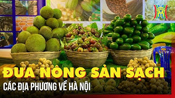 Đưa nông sản sạch các địa phương về Hà Nội | Tin tức