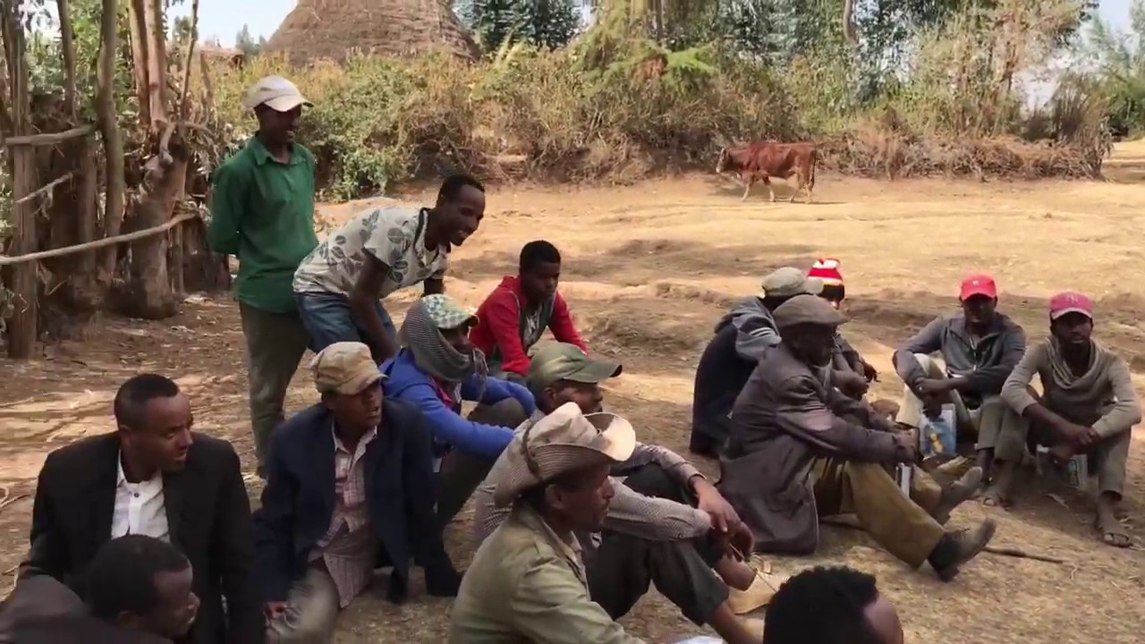 Livestock and Agricultural training Ethiopia YouTube
