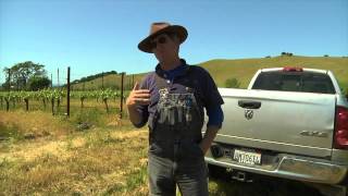 Sangiacomo Vineyard (Roberts Road) tour with Greg La Follette | Block122TV