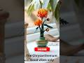 Chrysanthemum Flowers Mean Only Good Vibes Lego News #lego #legoset #flowers #legoshorts #botanical