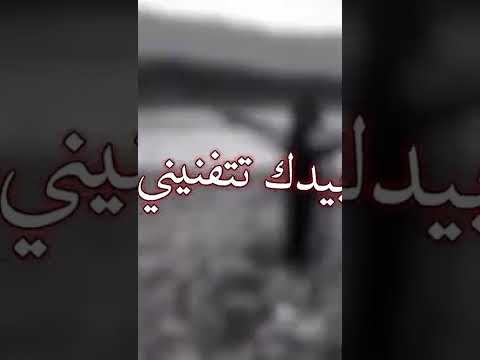 فيديو حزين بدون حقوق تصميم كاب كات كاب كات تصميمي بدون حقوق