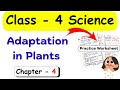 Adaptation in Plants | Class 4 Science | Class 4 Worksheet | Science Worksheet for Class 4 | Class 4