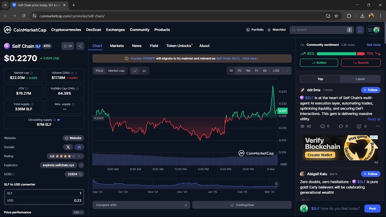 Is Self Chain ($SLF) Token Legit or Scam ??