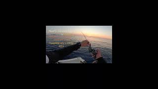 Hearty rise slow jigging iv 250gr 80m #slowpitch #jigging #mancing #heartyrise #shimano #spj #ψάρεμα