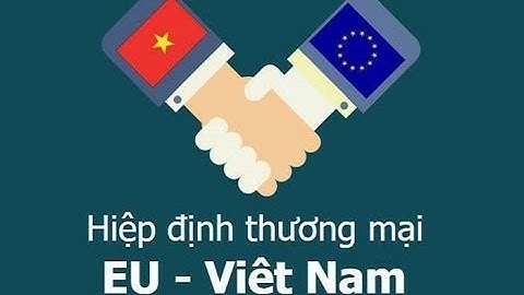 Hiệp định EVFTA - không chỉ là cơ hội mà còn cả thách thức | VTV24