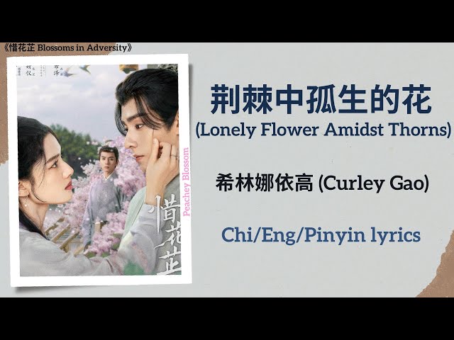 荆棘中孤生的花 (Lonely Flower Amidst Thorns) - 希林娜依高 (Curley Gao)《惜花芷 Blossoms in Adversity》Chi/Eng/Pinyin class=