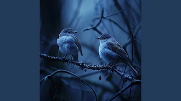 Soft Bird Sounds for Deep Slumber