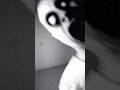 If I Ever Die, I Promise I’ll Visit You Like This 👻💕 Scary Funny #Shorts