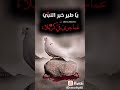 يااا طير خبر النبي عن ماجرى في كربلاء