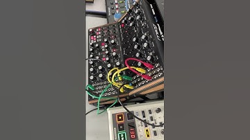 Moog Sub Harmonicon and DFAM combo. I’m really enjoying these 2 units. #moogsubharmonicon #moogdfam