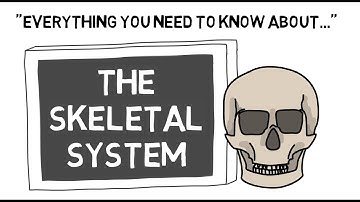 The Skeletal System | Sport Science Hub: Physiology Fundamentals | No Music