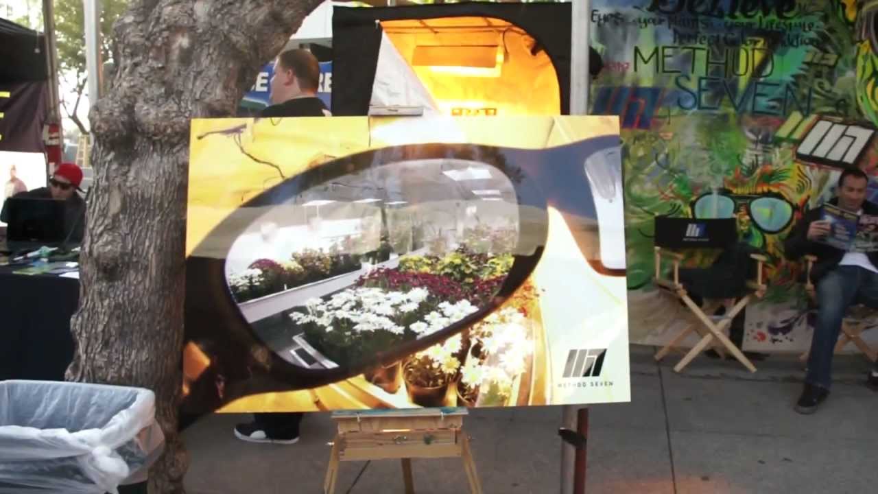 VaderVision - Medical Cannabis Cup LA 2012