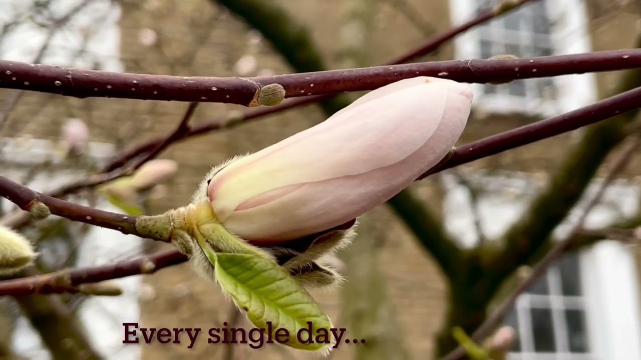 Allow Change🍁🍃