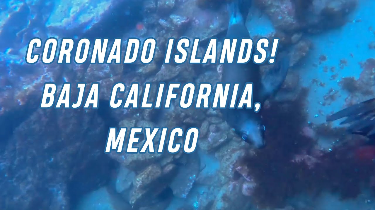 Scuba Diving Coronado Islands, Baja California | Marissa Charters